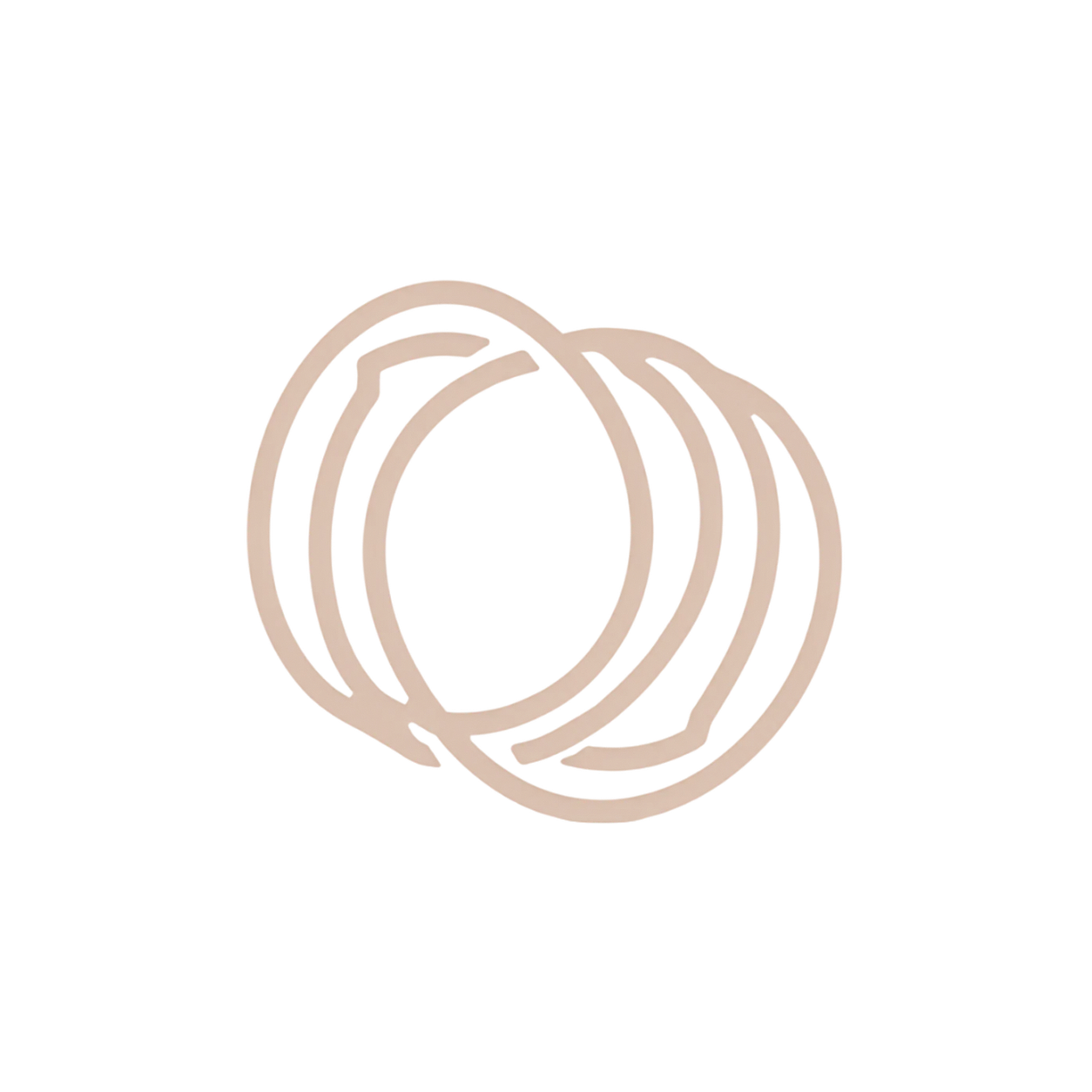 THE LOOP — official brand artwork